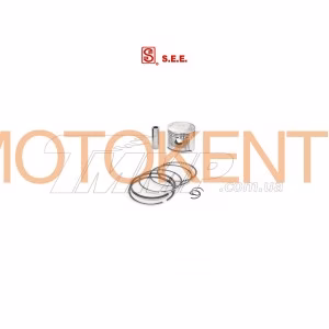 Поршень Delta 70 1,00 (Ø48,00) (SEE) EVO