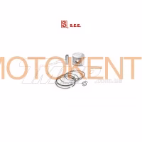 Поршень Delta 70 1,00 (Ø48,00) (SEE) EVO
