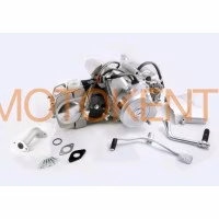 Двигун Delta, Activ 110cc (МКПП 152FMH) (Слонік) EVO