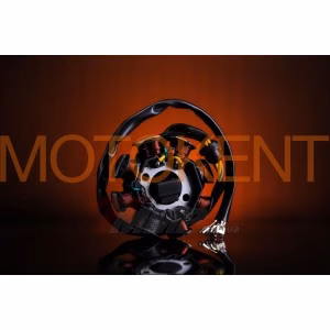 Статор генератора 4T CB/CG 150/200 (під 2 болти) EVO