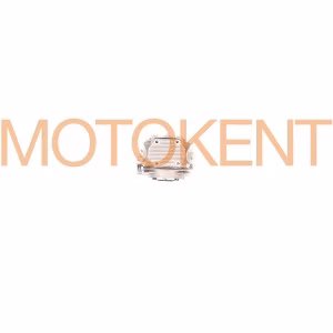 Головка циліндра Delta 125 (у зборі) KOMATCU (mod.A)