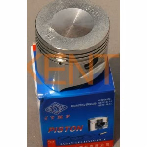 Поршень Delta 100 0,25 (Ø50,25) JYMP (#VDK)