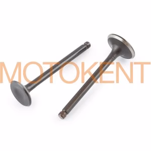 Клапани (пара, голі) Delta 70 (L-66mm) KOMATCU (mod.A)