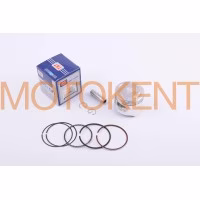Поршень Delta 70 1,00 (Ø48,00) TNT