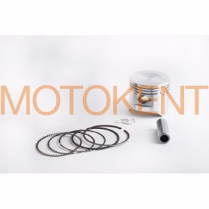 Поршень Delta 100 .STD (Ø50,00) (SEE) EVO