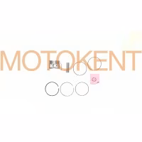 Поршень 4T ARN 150 1,00 (Ø58,40 p-15) SUNY (mod.A)