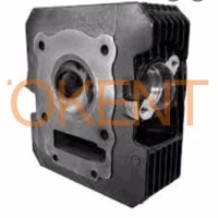 Головка циліндра PR250 (у зборі) ST
