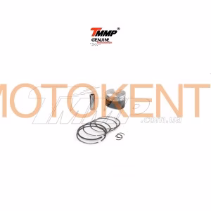 Поршень Active 110 0,25 (Ø52,65, 152FMH) (TM, тефлон) EVO